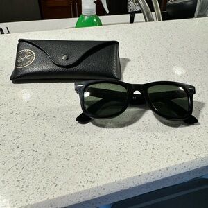 Black Wayfair Sunglasses